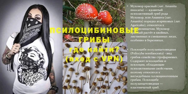 твердый Богородск