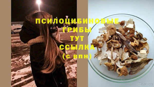 мдма Богданович