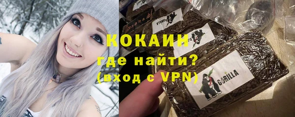 хмурый Богородицк