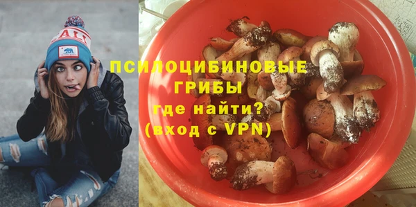 твердый Богородск