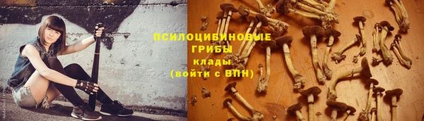 твердый Богородск