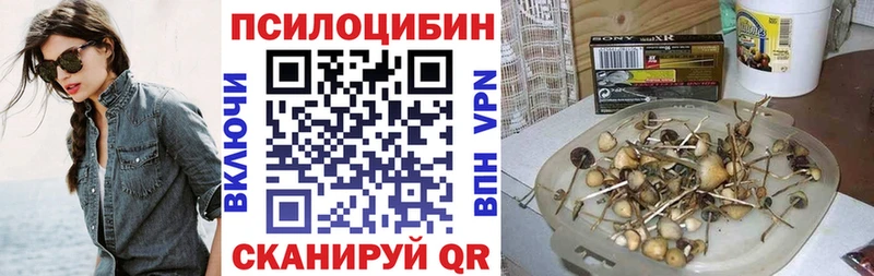 Галлюциногенные грибы мицелий  Оренбург 