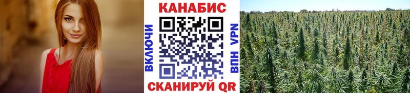 МАРИХУАНА AK-47  Оренбург 